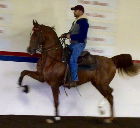 HELLUVA STORM LR (Sunfish LR)