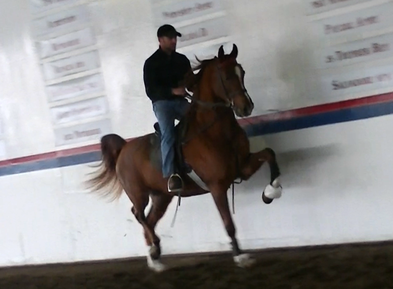 HELLUVA STORM LR (Sunfish LR)