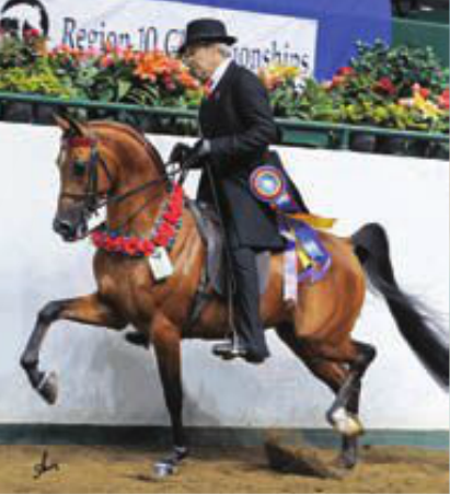 Dam of National Champion AFIRES ROYALTY+/