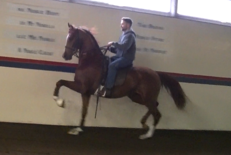 HELLUVA STORM LR (Sunfish LR)