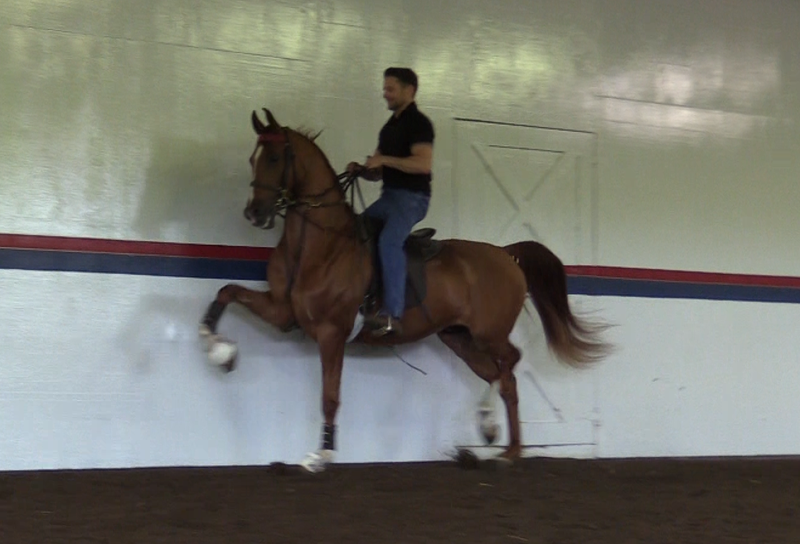 HELLUVA STORM LR (Sunfish LR)