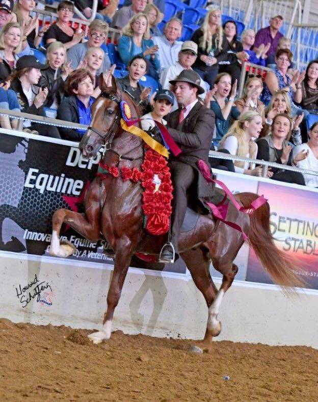 HELLUVA STORM LR (Sunfish LR)