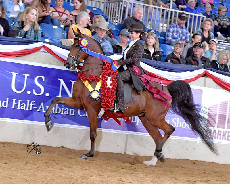 US National Champion HEIRISTOTLE