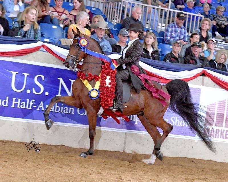 HEIRISTOTLE - US National Champion