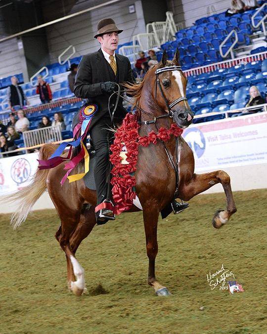 DEBONHEIR DGL (Afires Heir x Felicia Afire)