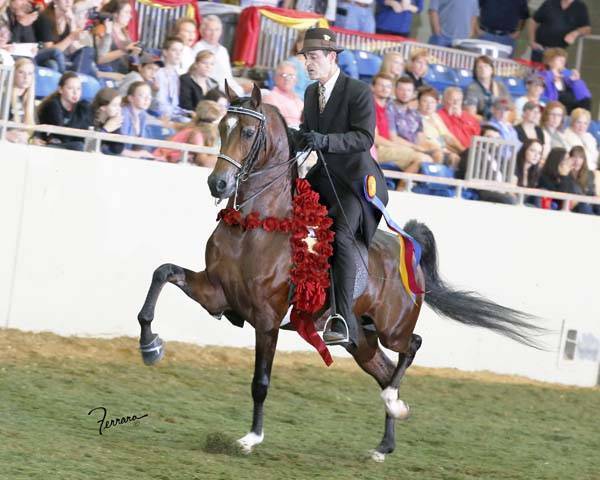 National Champion AEPA Noble Ffyre