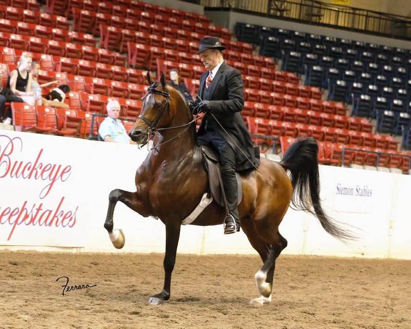 2019 Buckeye Champion