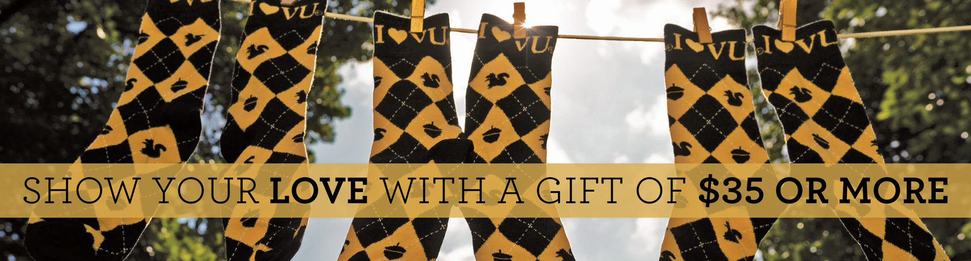image of vanderbilt socks