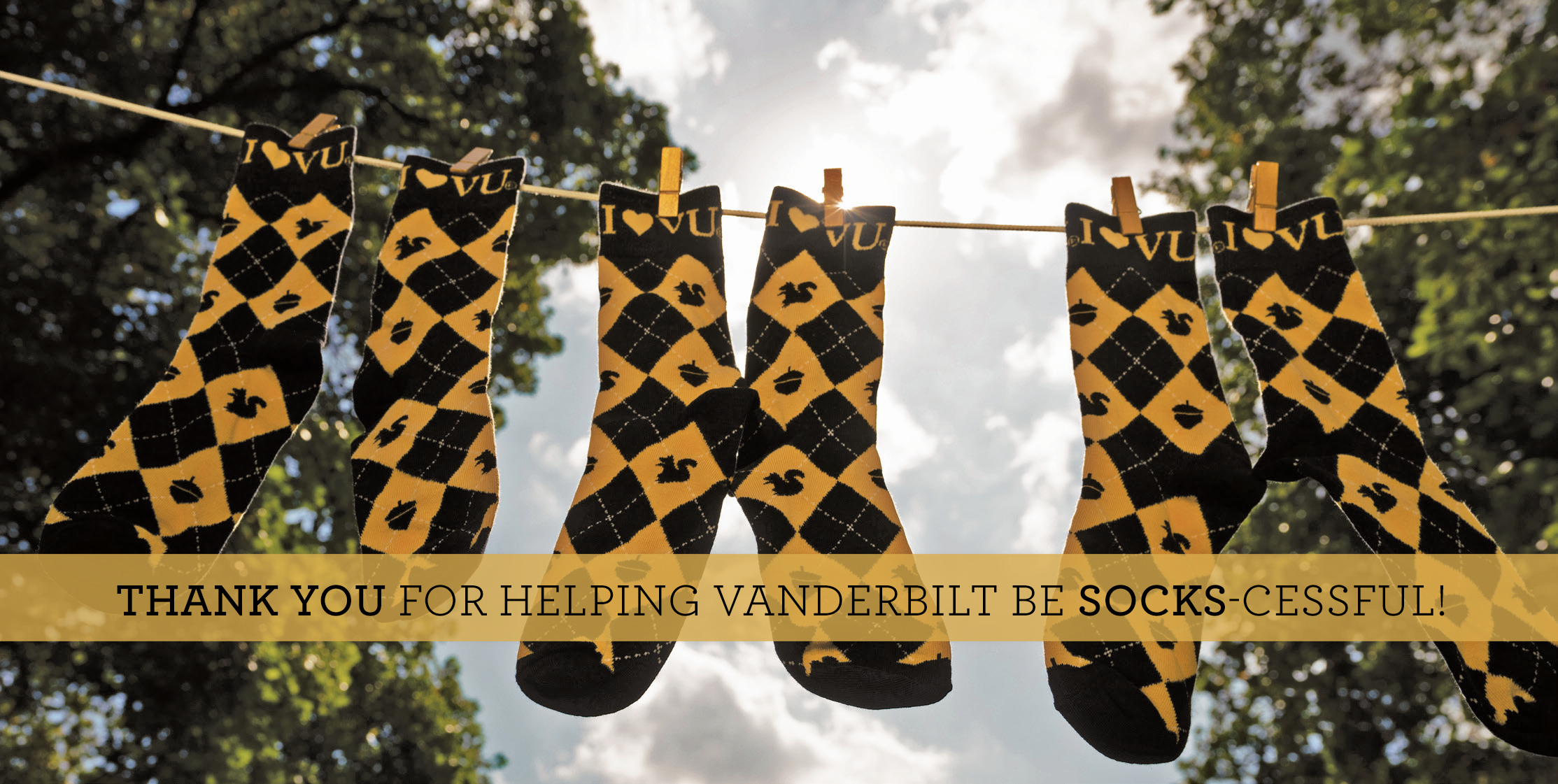 image of vanderbilt socks