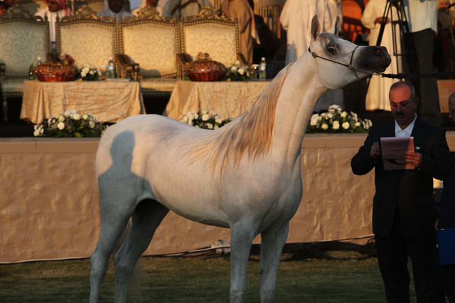 Ajman Show 2010 (Day 1)