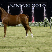 Ajman Show 2010 (Day 1)
