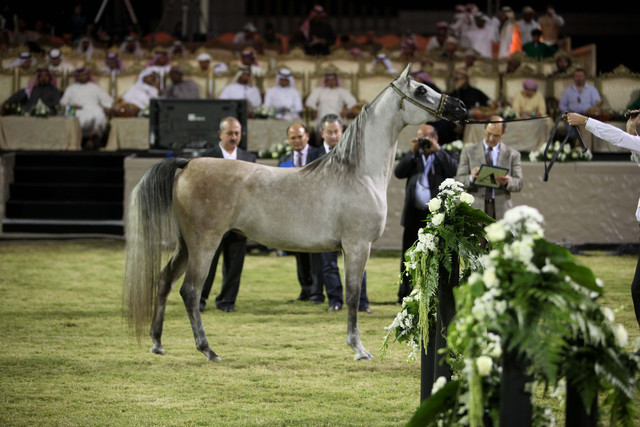 Ajman Show 2010 (Day 1)