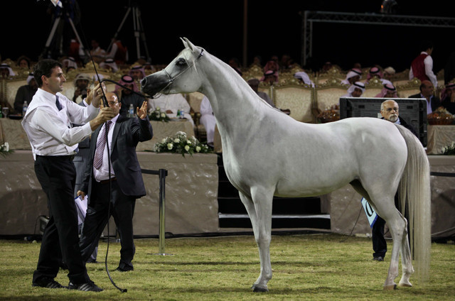 Ajman Show 2010 (Day 1)
