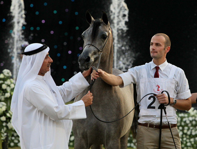 Ajman Show 2010 (Day 1)