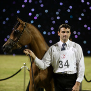 Ajman Show 2010 (Day 1)