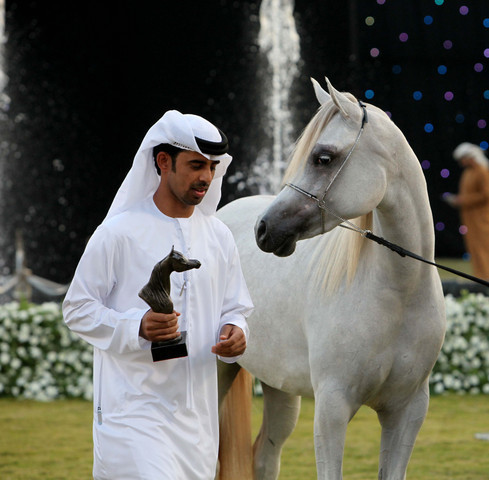 Ajman Show 2010 (Day 1)