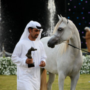 Ajman Show 2010 (Day 1)