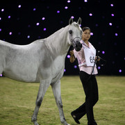 Ajman Show 2010 (Day 1)