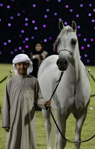 Ajman Show 2010 (Day 1)