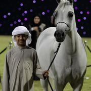 Ajman Show 2010 (Day 1)