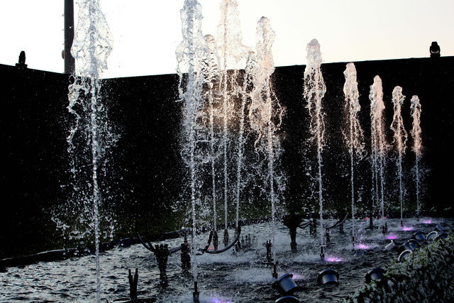 Ajman Show 2010 (Day 1)