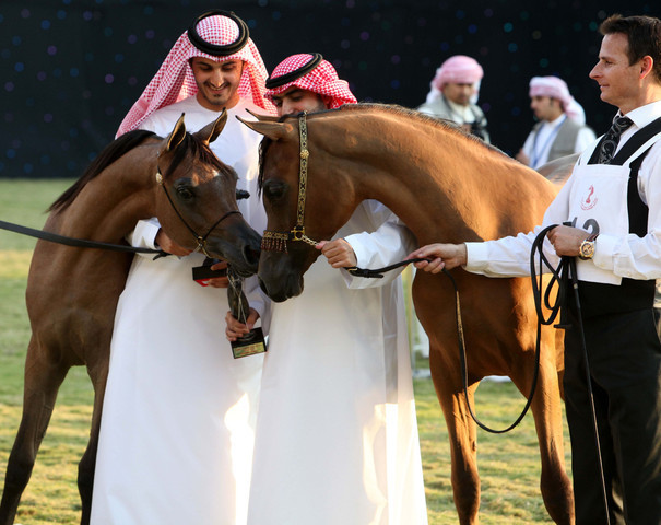 Ajman Show 2010 (Day 1)