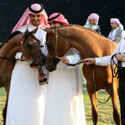 Ajman Show 2010 (Day 1)