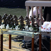 Ajman Show 2010 (Day 1)