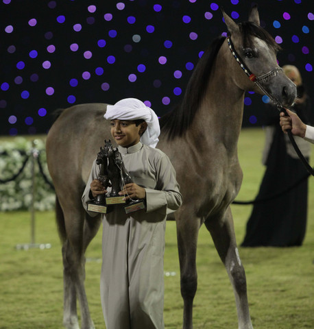 Ajman Show 2010 (Day 1)