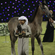 Ajman Show 2010 (Day 1)