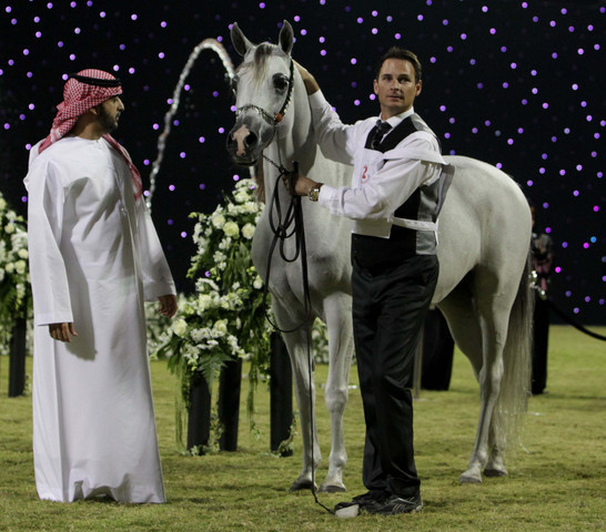 Ajman Show 2010 (Day 1)