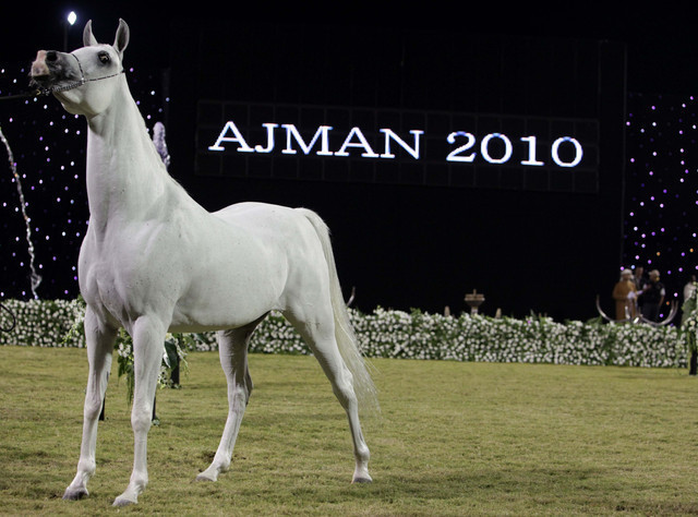 Ajman Show 2010 (Day 1)