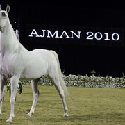 Ajman Show 2010 (Day 1)