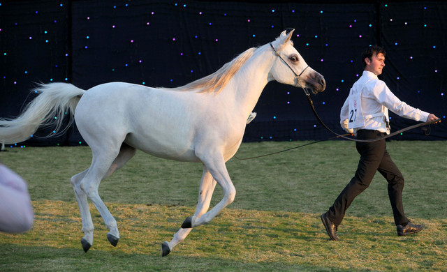 Ajman Show 2010 (Day 1)