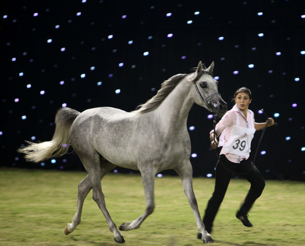 Ajman Show 2010 (Day 1)
