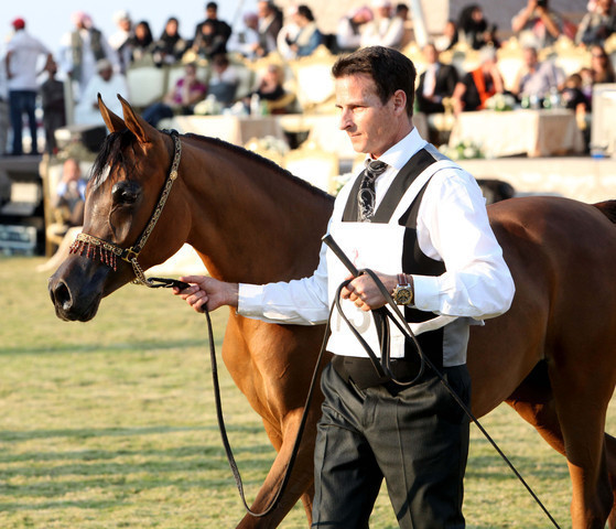 Ajman Show 2010 (Day 1)