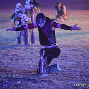 Ajman Show 2010 (Day 2)