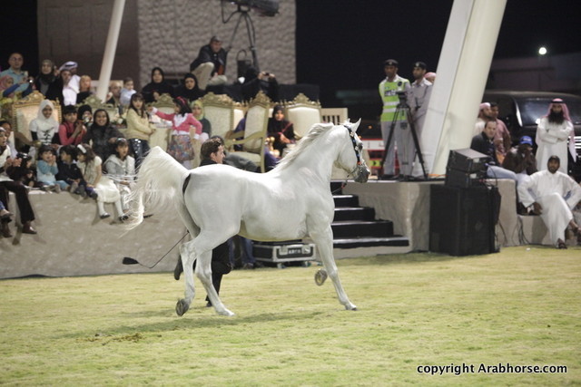 Ajman Show 2010 (Day 2)