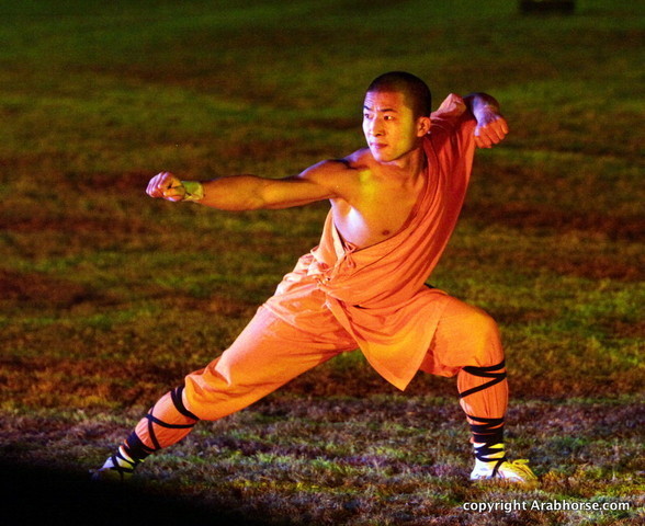 Ajman Show 2010 (Day 2)