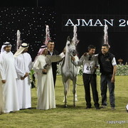 Ajman Show 2010 (Day 2)