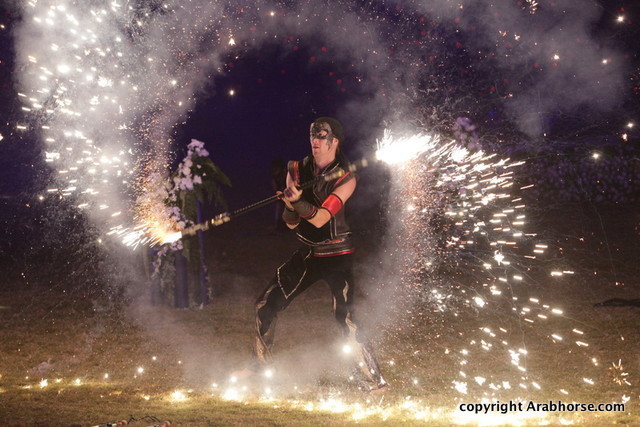 Ajman Show 2010 (Day 2)