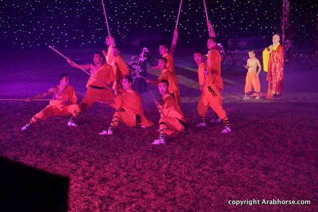 Ajman Show 2010 (Day 2)