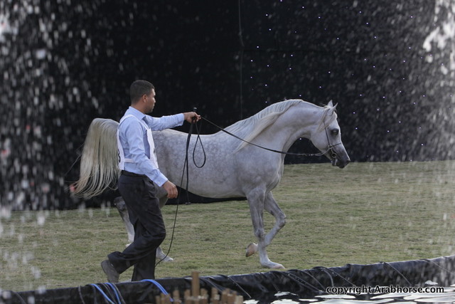 Ajman Show 2010 (Day 2)