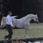 Ajman Show 2010 (Day 2)