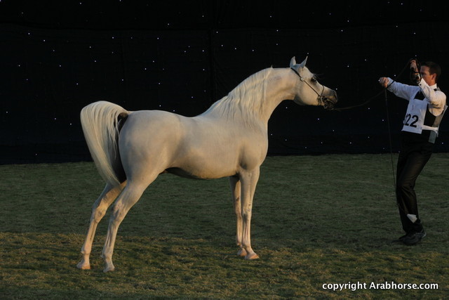 Ajman Show 2010 (Day 2)