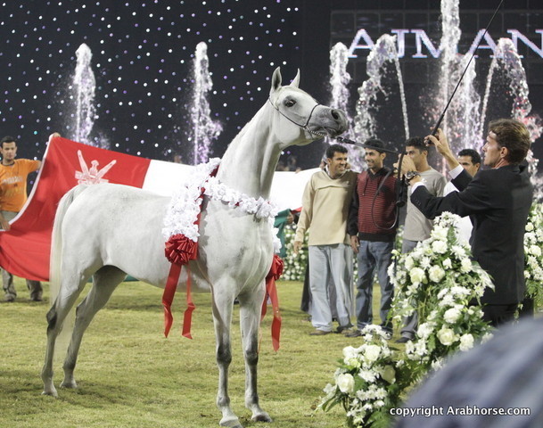 Ajman Show 2010 (Day 2)