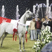 Ajman Show 2010 (Day 2)