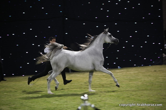 Ajman Show 2010 (Day 2)