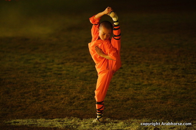 Ajman Show 2010 (Day 2)