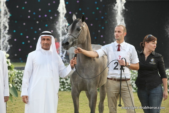 Ajman Show 2010 (Day 2)